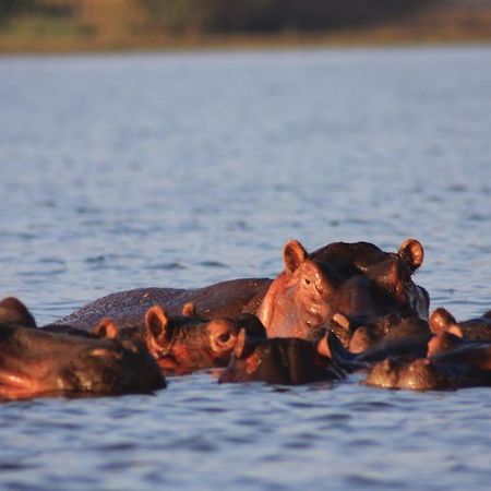 ניירובי Lake Naivasha Simba Lodge מראה חיצוני תמונה