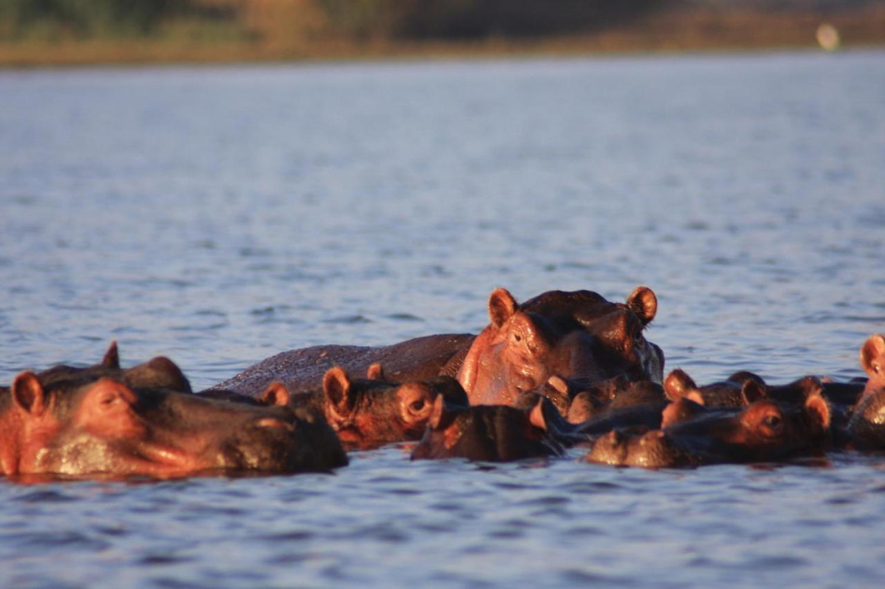 ניירובי Lake Naivasha Simba Lodge מראה חיצוני תמונה
